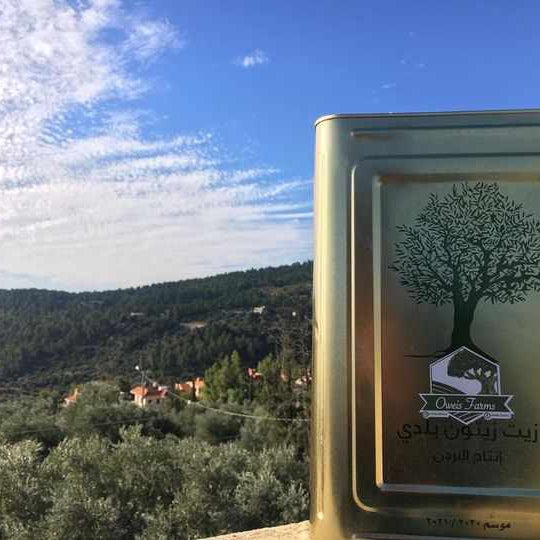 Olive Oil-olive oil-oweisfarms